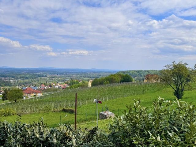 Haus kaufen in Steiermark