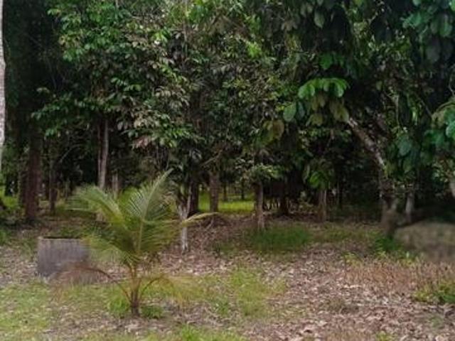Bungalow for sale in Labis, Johor