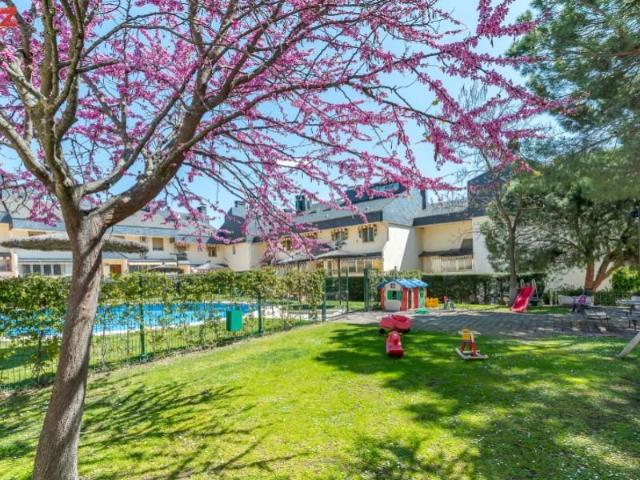 Bungalow en alquiler en Las Rozas De Madrid