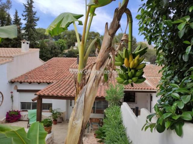 Bungalow en alquiler en Teulada
