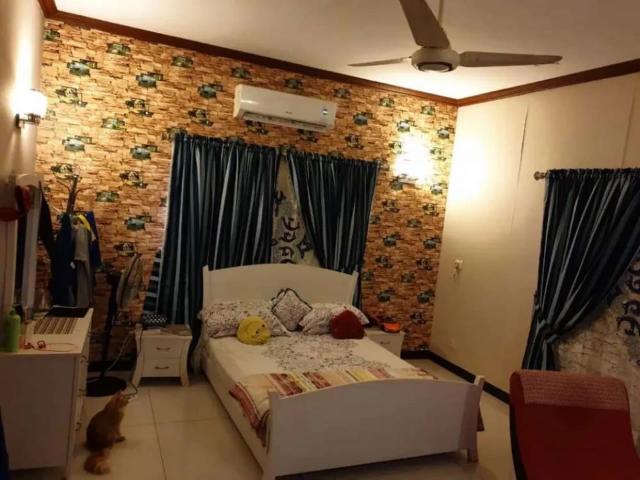 House for rent in North Waziristan, Federally Administered Tribal Areas fata