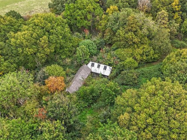 Bungalow for sale in Boyton Cross, Chelmsford