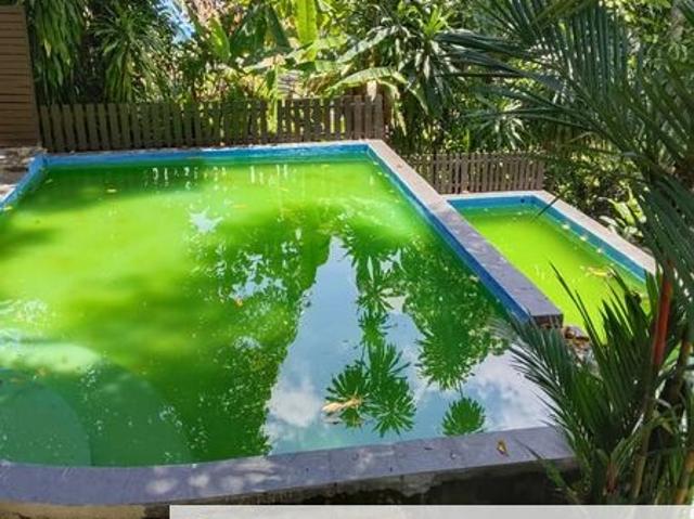 House for rent in Kenny Hills