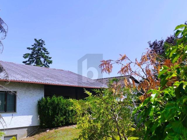 Haus kaufen in Sollenau, Niederösterreich