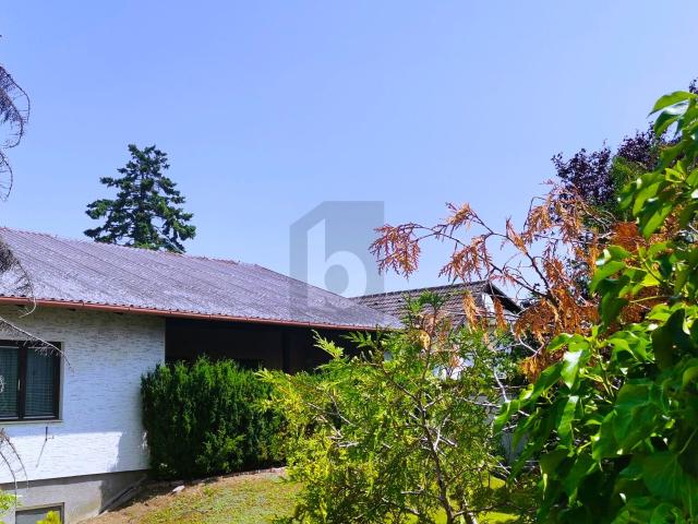 Haus kaufen in Sollenau, Niederösterreich