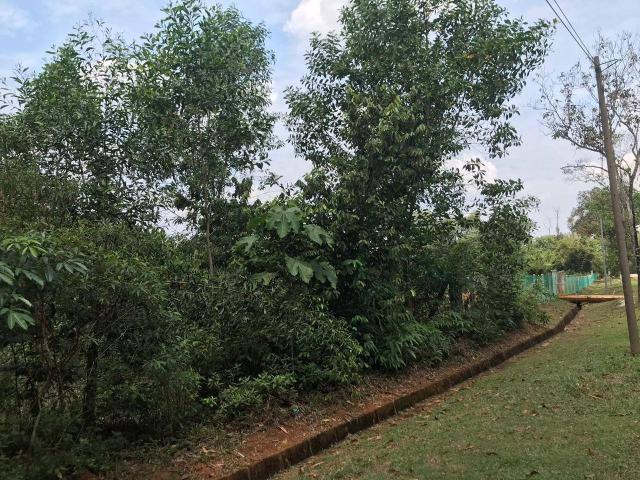 Property for sale in Bukit Beruntung, Hulu Selangor