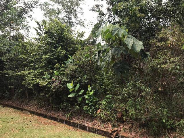 Property for sale in Bukit Beruntung, Hulu Selangor