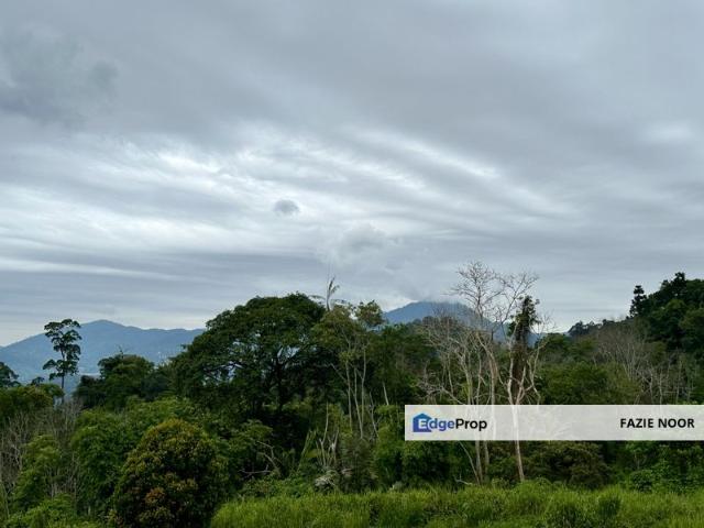 House for sale in Pahang