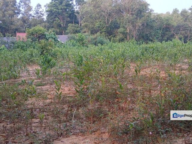House for sale in Kajang, Langat