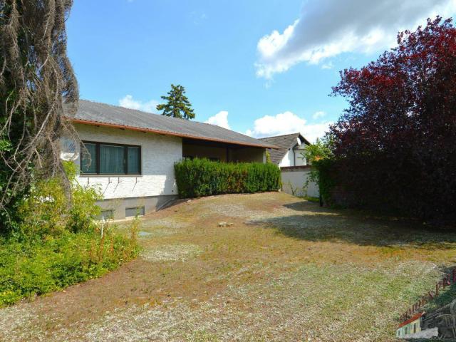 Haus kaufen in Eggendorf, Niederösterreich