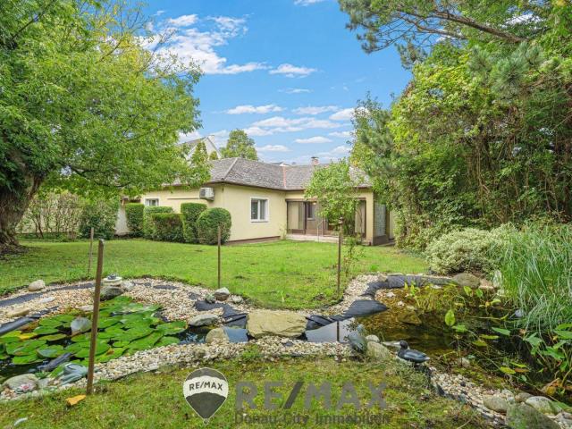 Haus kaufen in Bisamberg, Niederösterreich