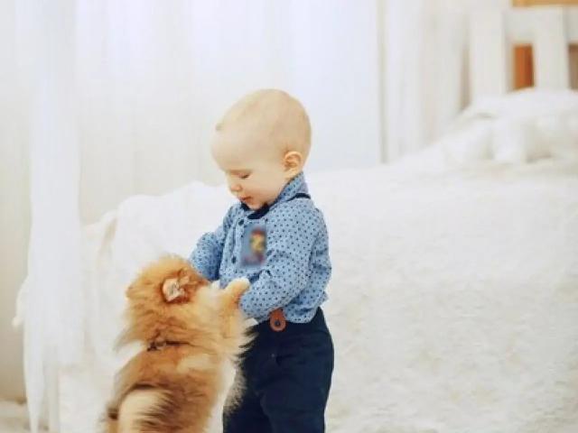 Haus kaufen in Neubrück, Wendeburg