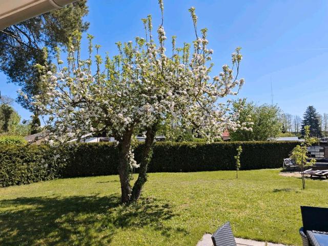 Haus kaufen in Ahrensfelde