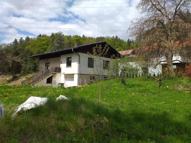 Haus kaufen in Vasoldsberg
