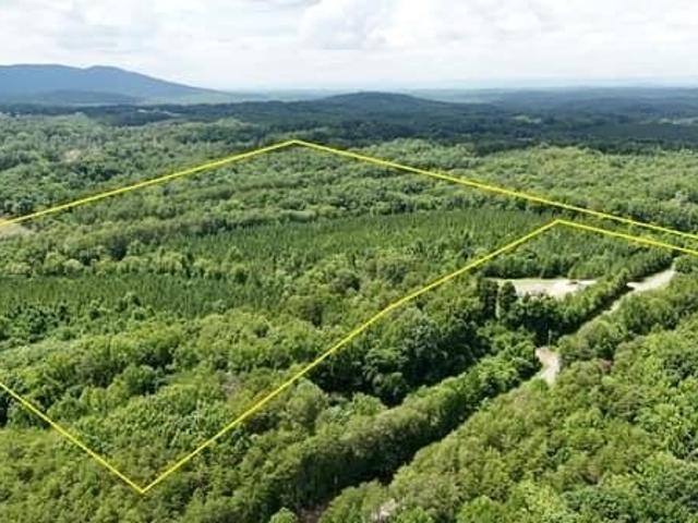 Land for sale in Stokes, North Carolina
