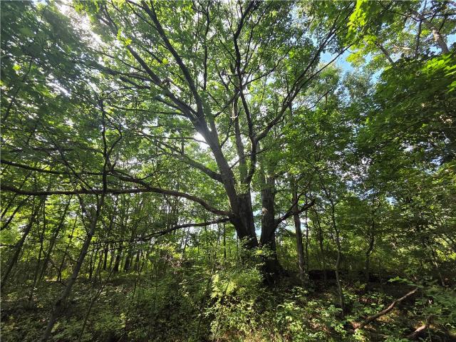 Land for sale in Town of Barton, Tioga County