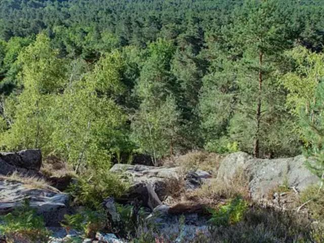 Terrain vente à Buno-Bonnevaux, Essonne
