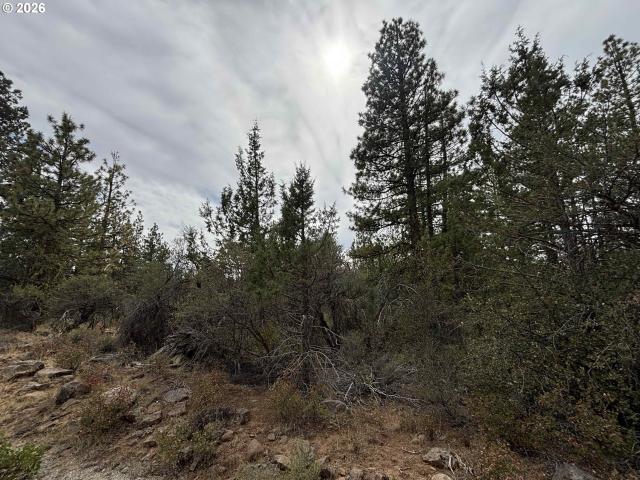 Land for sale in Oregonia