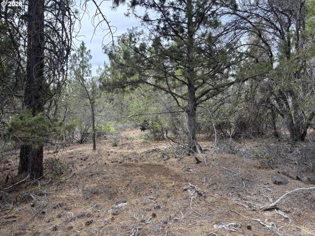 Land for sale in Oregonia