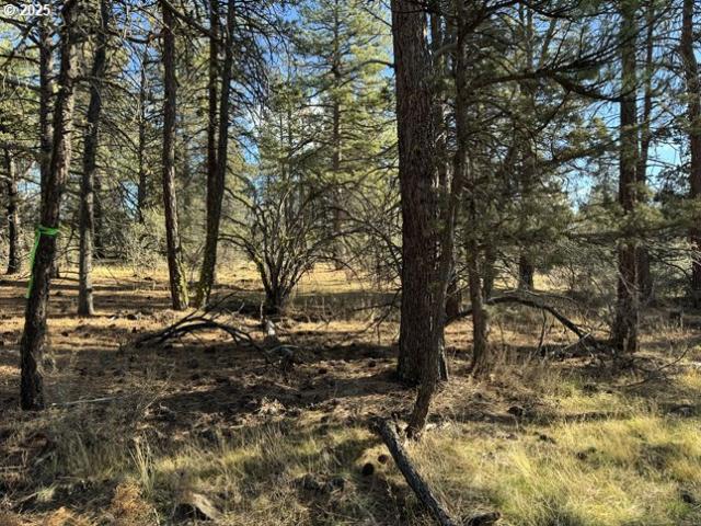 Land for sale in Oregonia