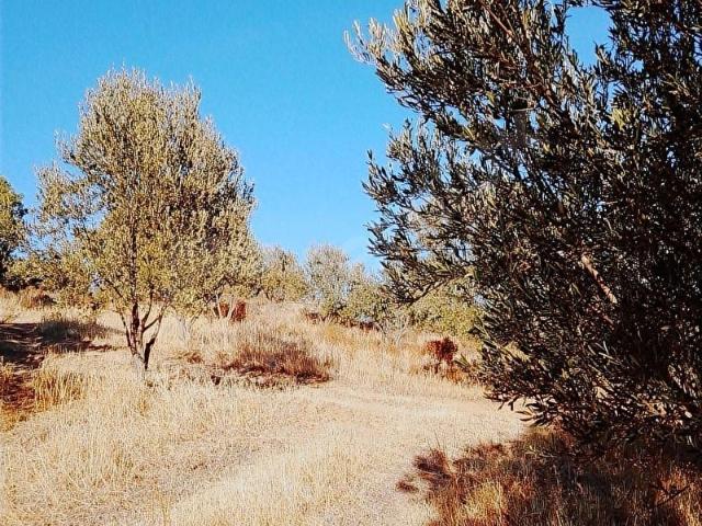 Gömeç, Balikesir içerisinde satılık Arsa