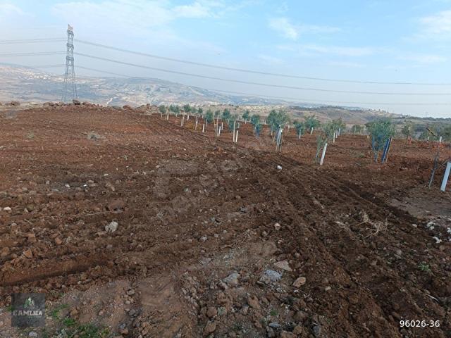 Şahinbey, Gaziantep içerisinde satılık mülk