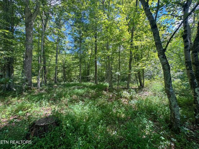 Land for sale in Tennessee