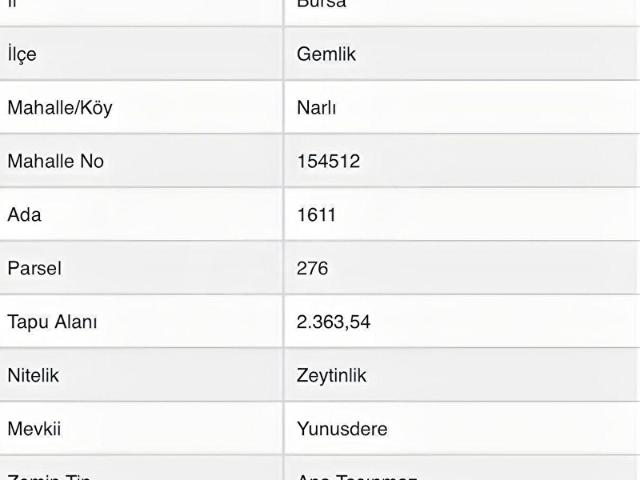 Gemlik, Bursa içerisinde satılık mülk