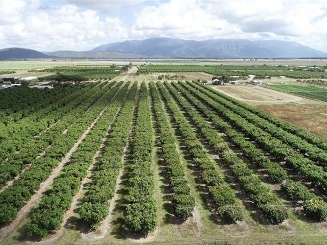 Acreage for sale in Horseshoe Lagoon, Queensland