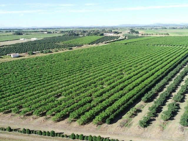 Acreage for sale in Mcdesme, Queensland