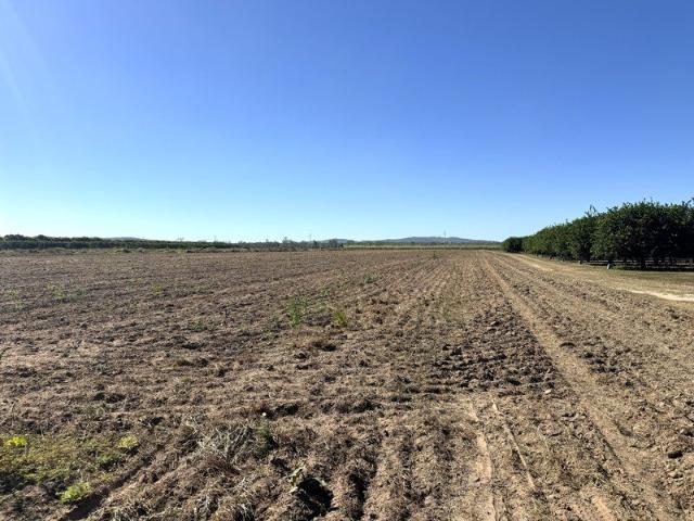 Property for sale in Kirknie, Queensland
