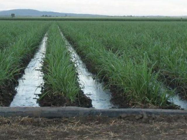 Acreage for sale in Home Hill, Queensland