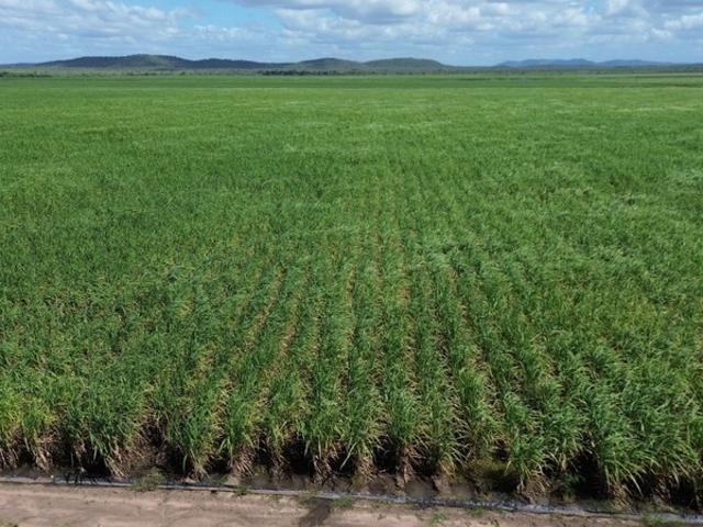 Property for sale in Fredericksfield, Queensland
