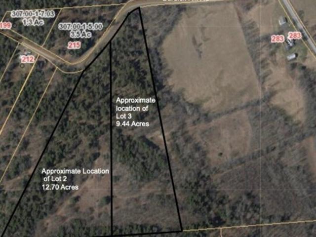 Land for sale in Otego