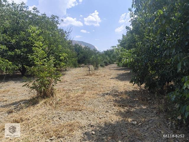 Bucak, Burdur içerisinde satılık Arsa