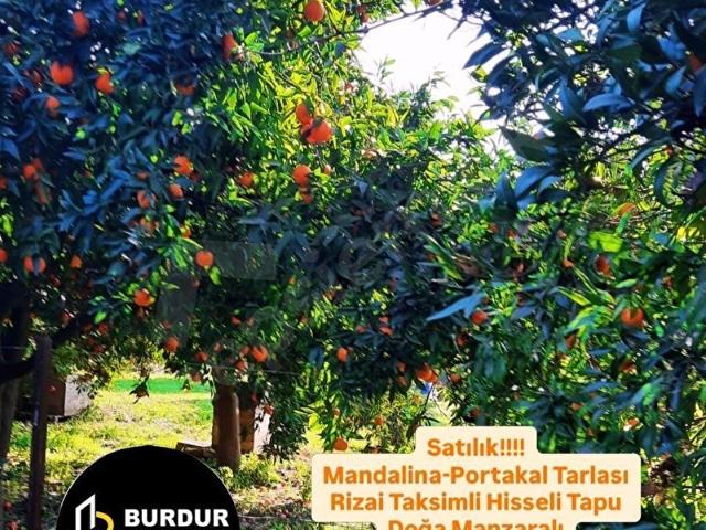 Köyceğiz, Muğla içerisinde satılık Arsa