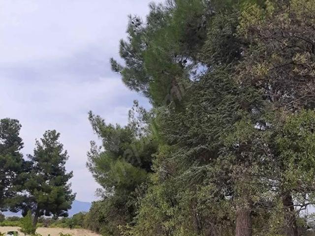 Burdur Merkez, Burdur içerisinde satılık Arsa