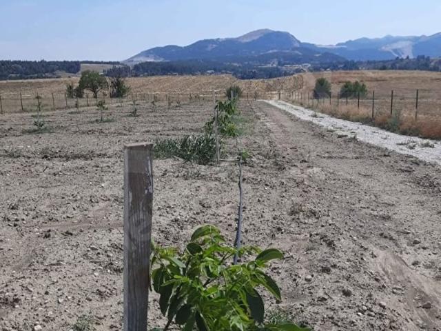 Burdur Merkez, Burdur içerisinde satılık Arsa