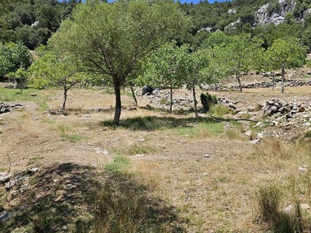 Burdur Merkez, Burdur içerisinde satılık mülk
