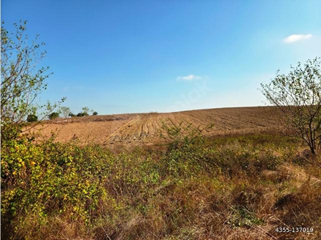 Burdur Merkez, Burdur içerisinde satılık Arsa