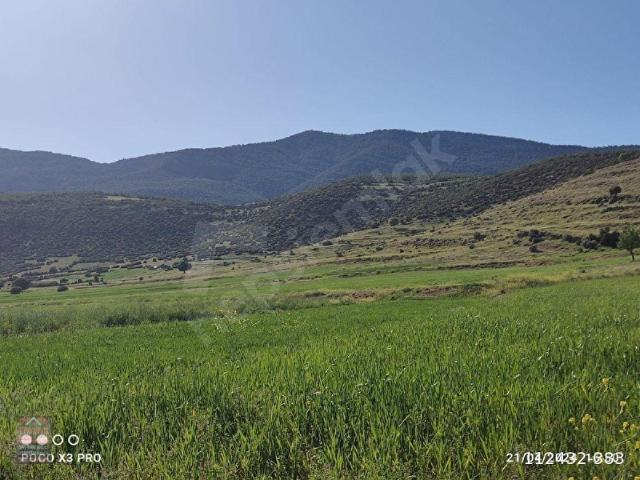 Burdur Merkez, Burdur içerisinde satılık Arsa