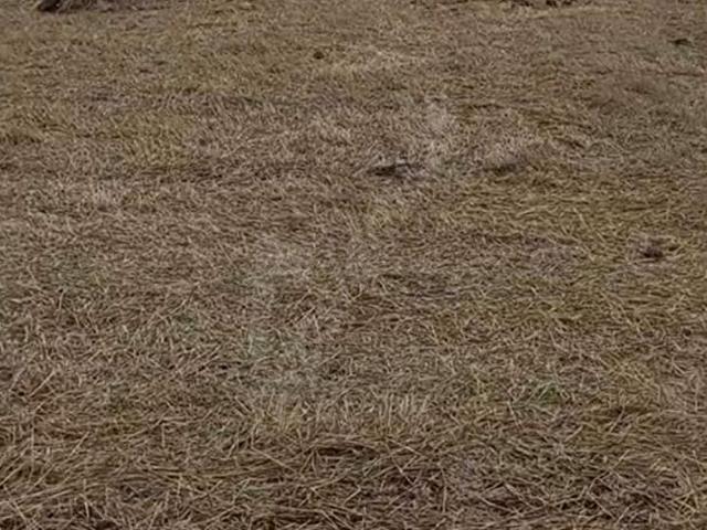 Armut, Yeşilova içerisinde satılık Arsa