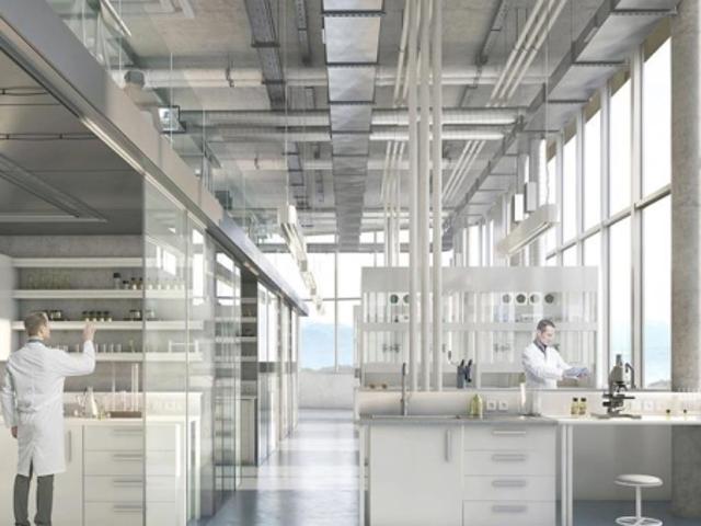 Büro mieten in Epalinges, Waadt