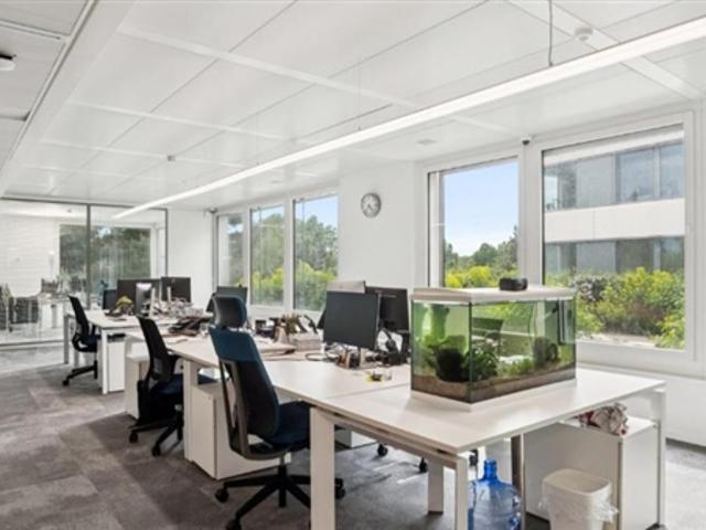 Büro mieten in Cheseaux-Lausanne, Waadt