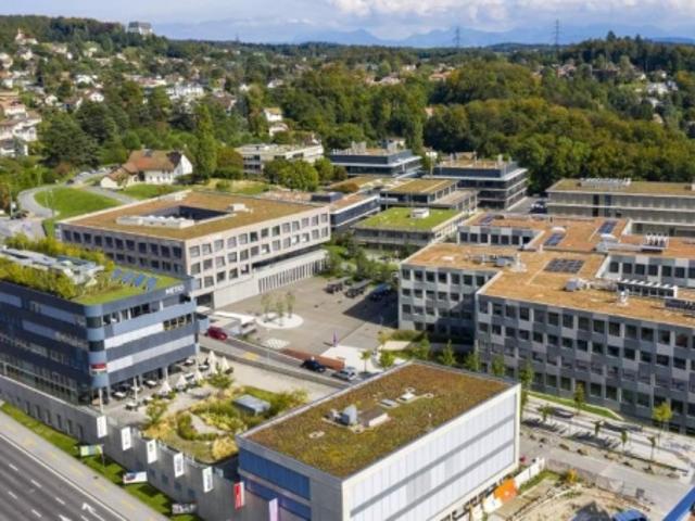 Büro mieten in Epalinges, Waadt