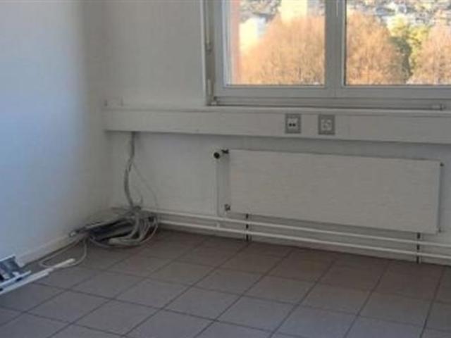 Büro mieten in Les Mayens-de-Sion, Wallis