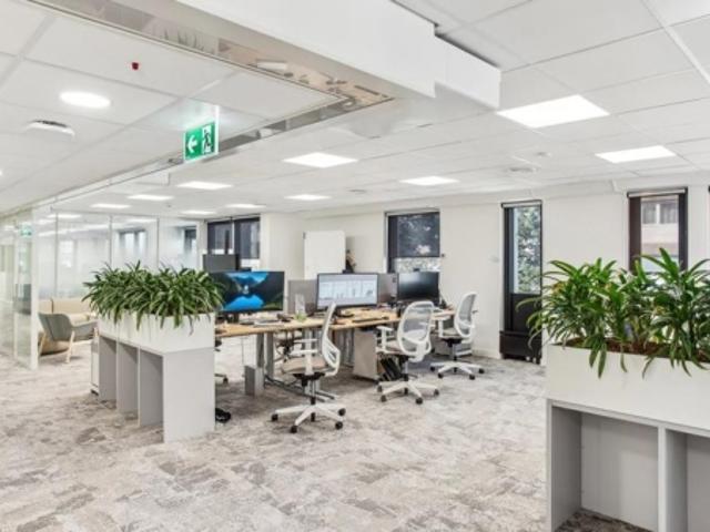 Büro mieten in Carouge (GE)