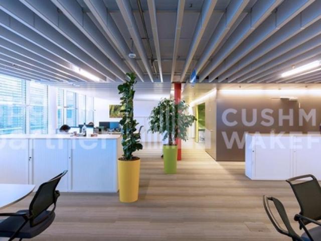 Büro mieten in Rolle, Waadt
