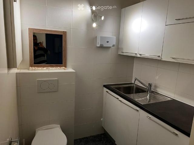 Apartment mieten in Grottes et Saint-Gervais, Genève