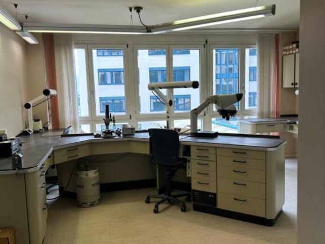 Büro kaufen in Les Mayens-de-Sion, Wallis